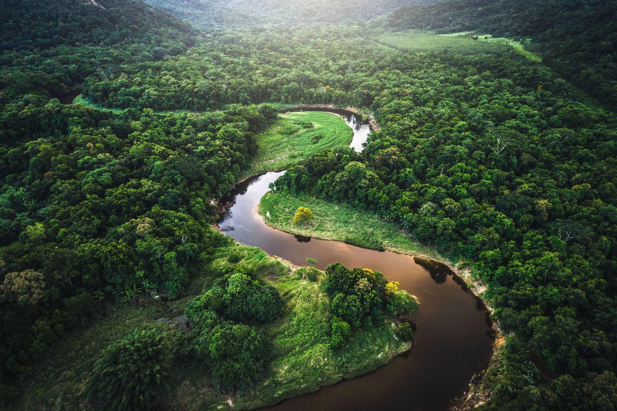 Amazon Rainforest: Preserving Earth’s Breathtaking Treasure of Life and Balance